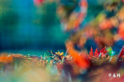 大门朝北风水布局_农村大门朝北门头字_大门牌匾四个字大全