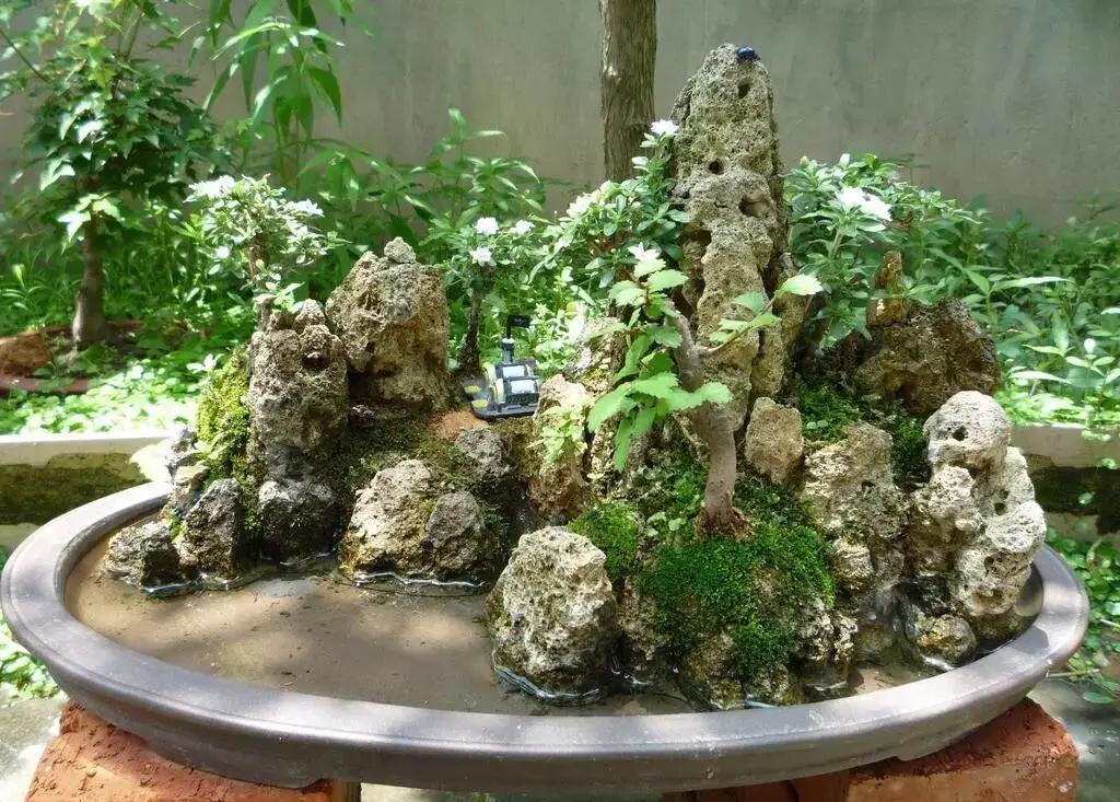 软石硬石加工区别_山水盆景雕琢山石技法_初学雕刻用什么材料