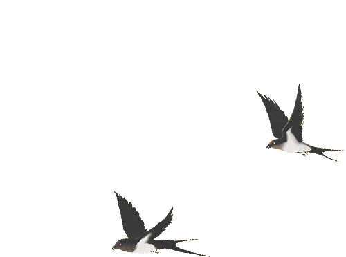 东阳木雕竹编家居产业高质量发展大会_中国木雕面临的问题_传承千年的老手艺如何火起来