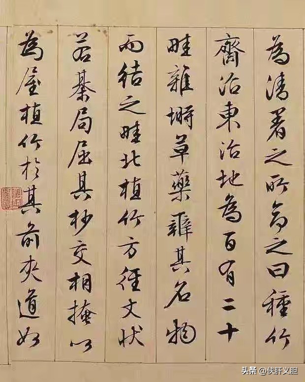 初学小楷怎么练_:学小楷必临文征明_文征明小楷特点