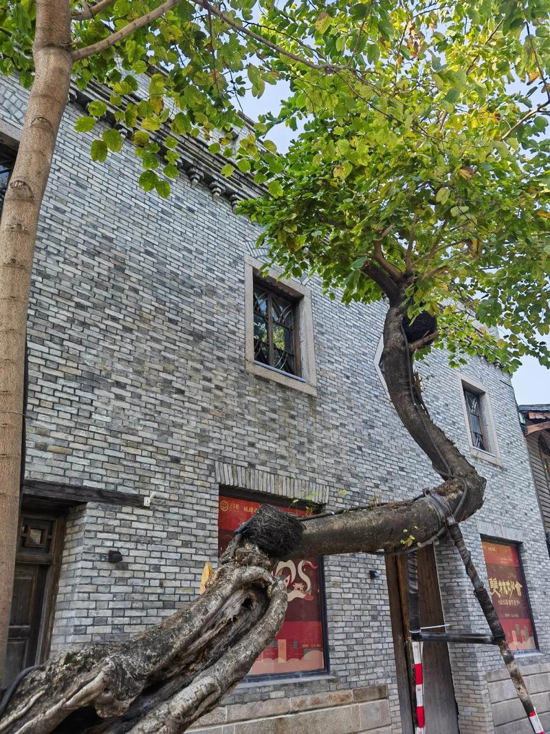 木牌坊图_福州中山大院老街巷改造_福州能补天巷木牌坊