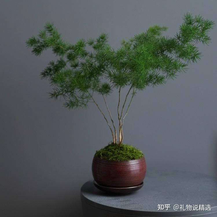 新居匾额_暖居礼物清单_乔迁礼物推荐