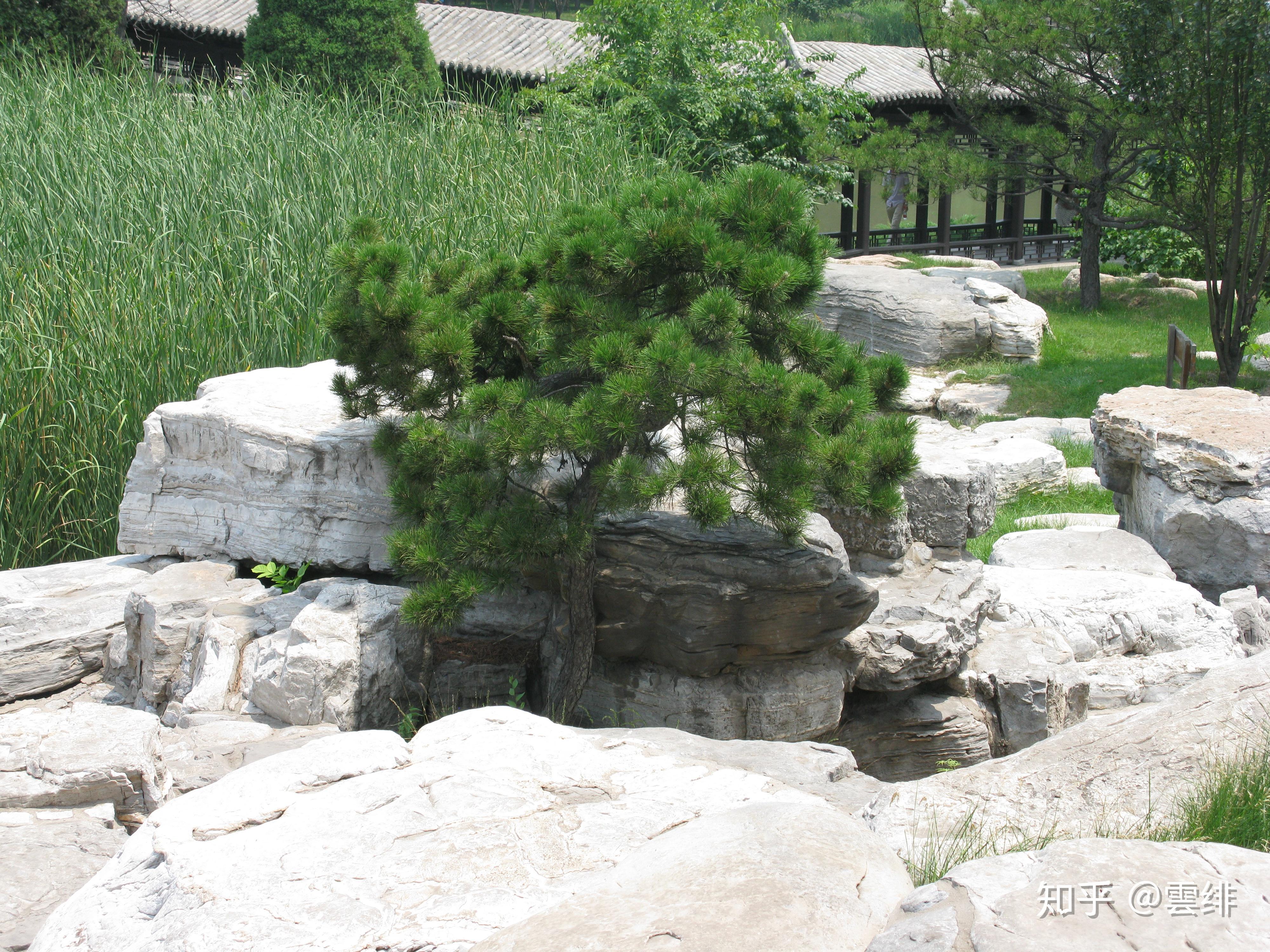 晋祠御笔匾额_晋祠历史渊源_晋祠圣母殿邑姜