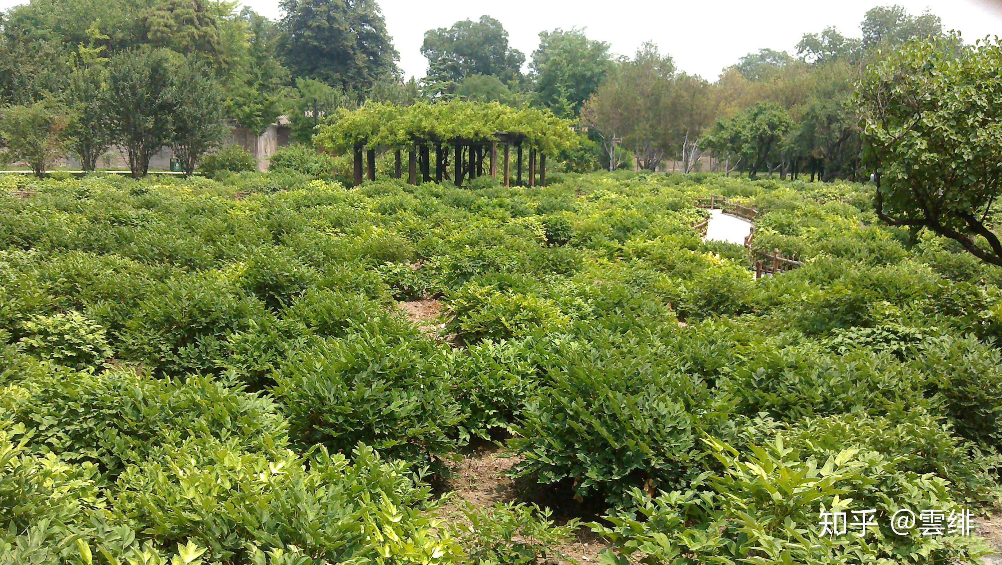 晋祠圣母殿邑姜_晋祠御笔匾额_晋祠历史渊源