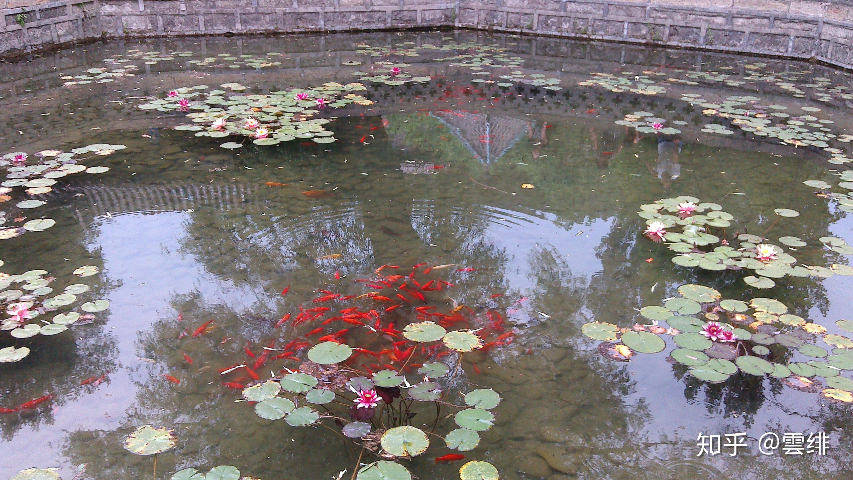 晋祠历史渊源_晋祠御笔匾额_晋祠圣母殿邑姜