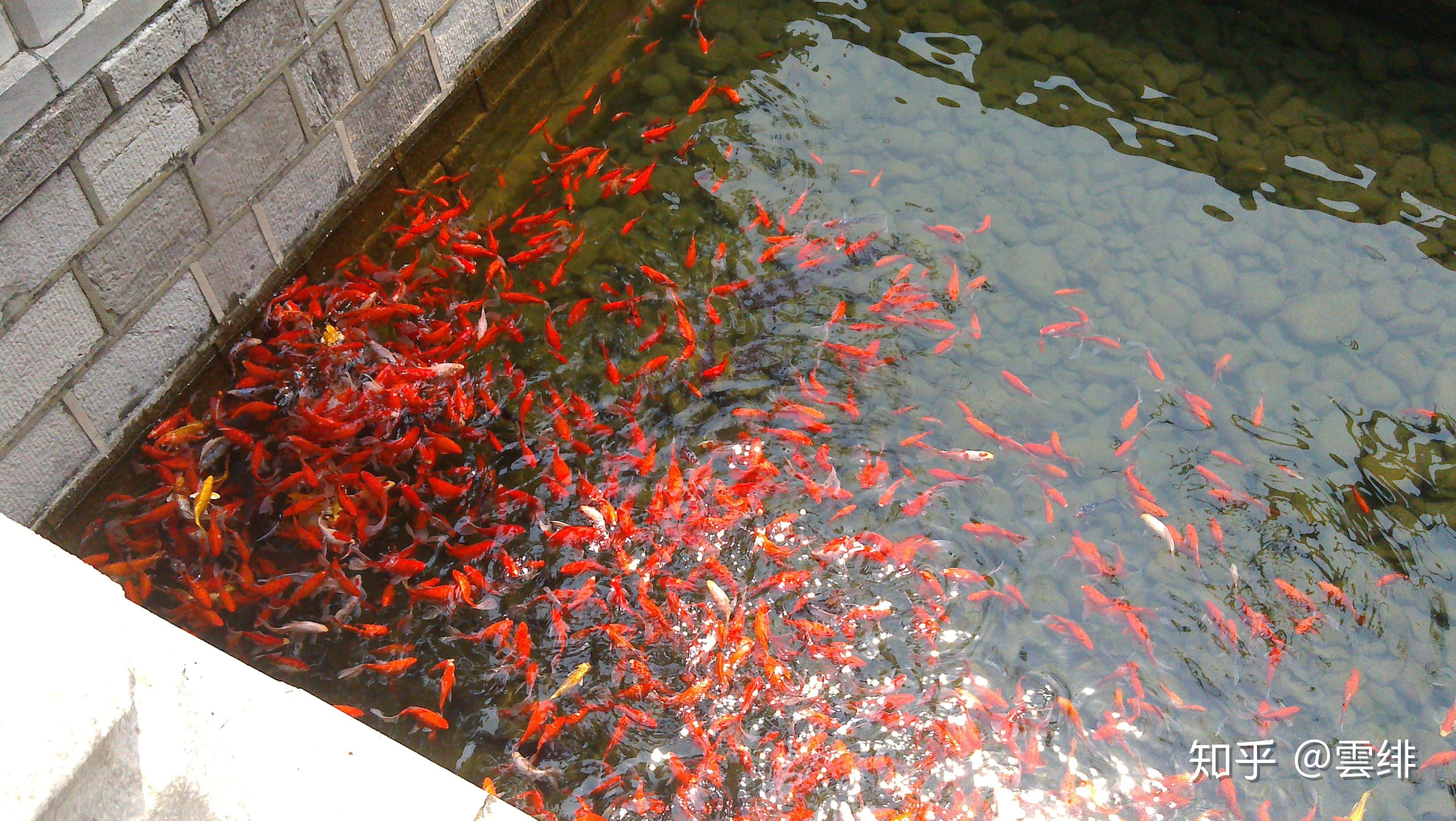 晋祠御笔匾额_晋祠历史渊源_晋祠圣母殿邑姜