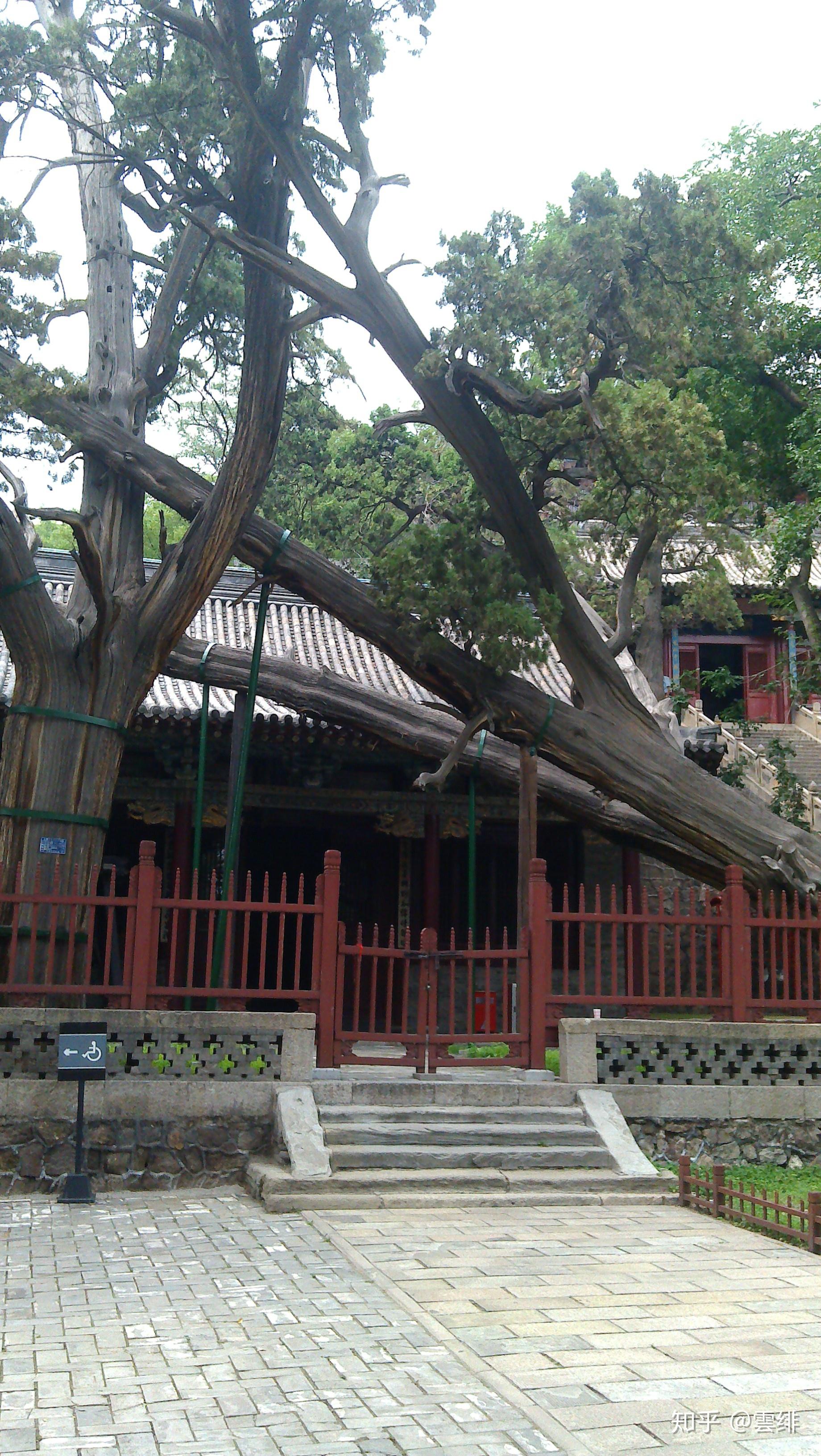 晋祠御笔匾额_晋祠圣母殿邑姜_晋祠历史渊源