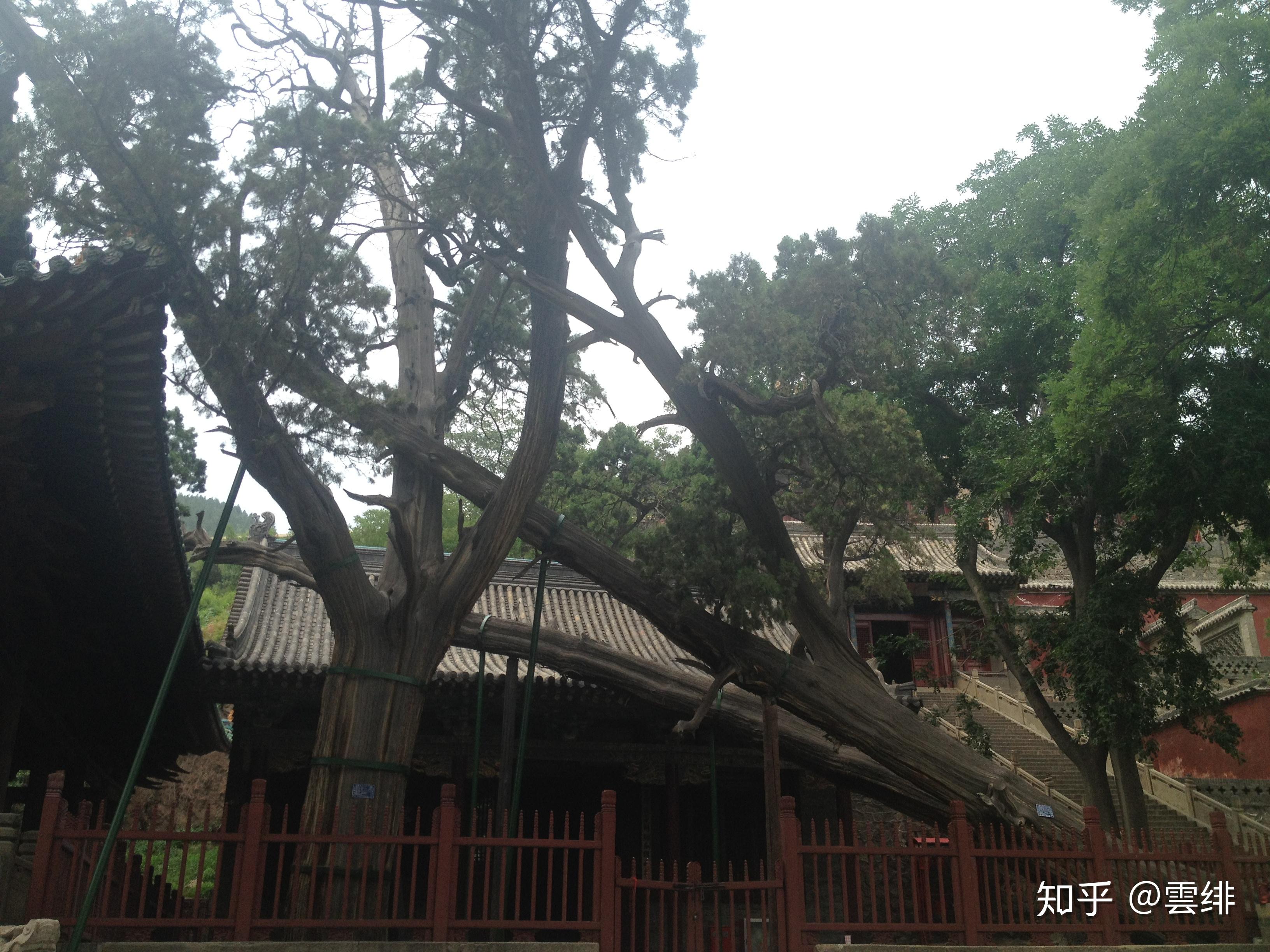 晋祠御笔匾额_晋祠圣母殿邑姜_晋祠历史渊源