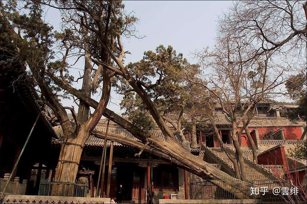 晋祠御笔匾额_晋祠圣母殿邑姜_晋祠历史渊源