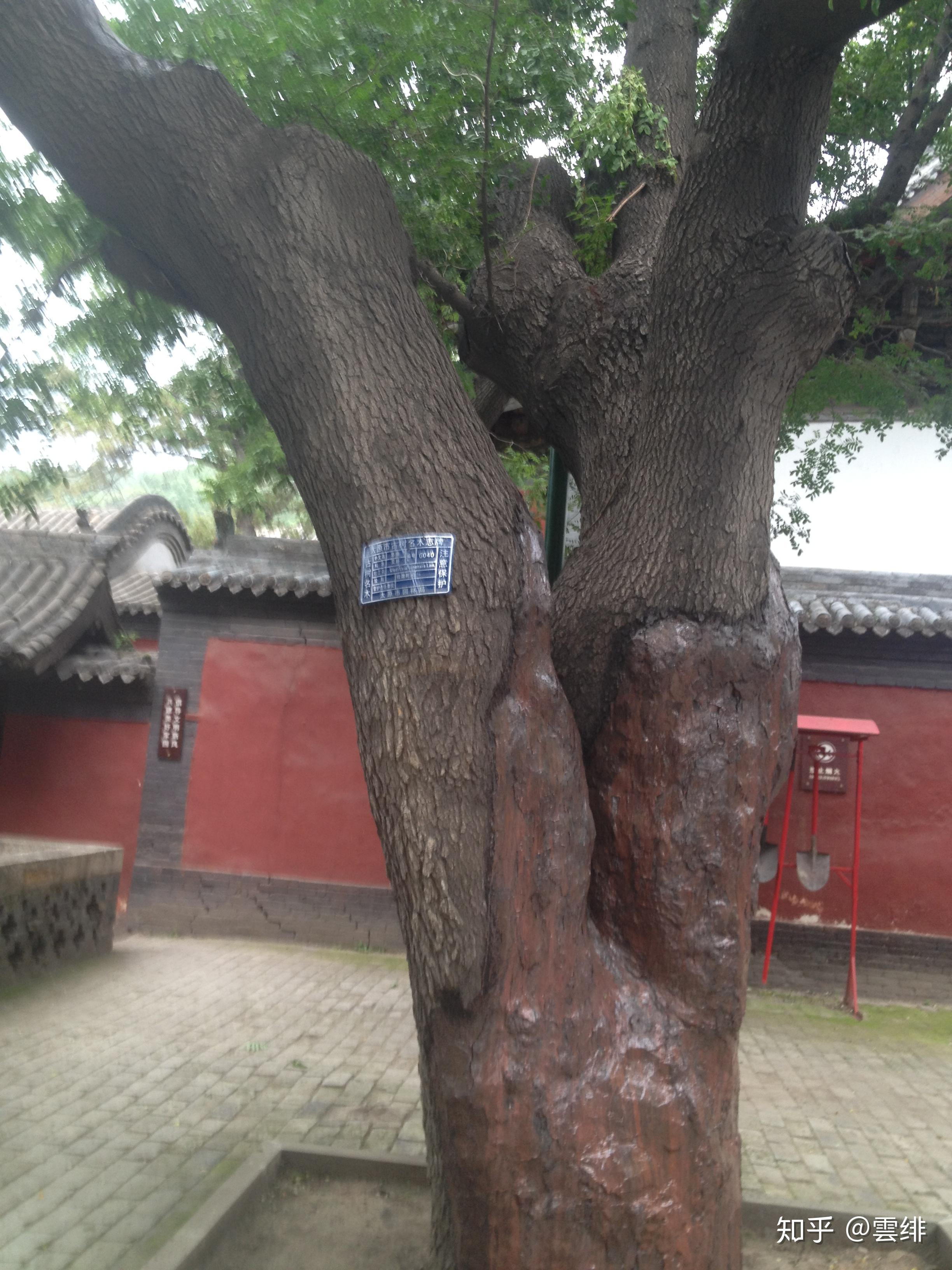 晋祠御笔匾额_晋祠圣母殿邑姜_晋祠历史渊源