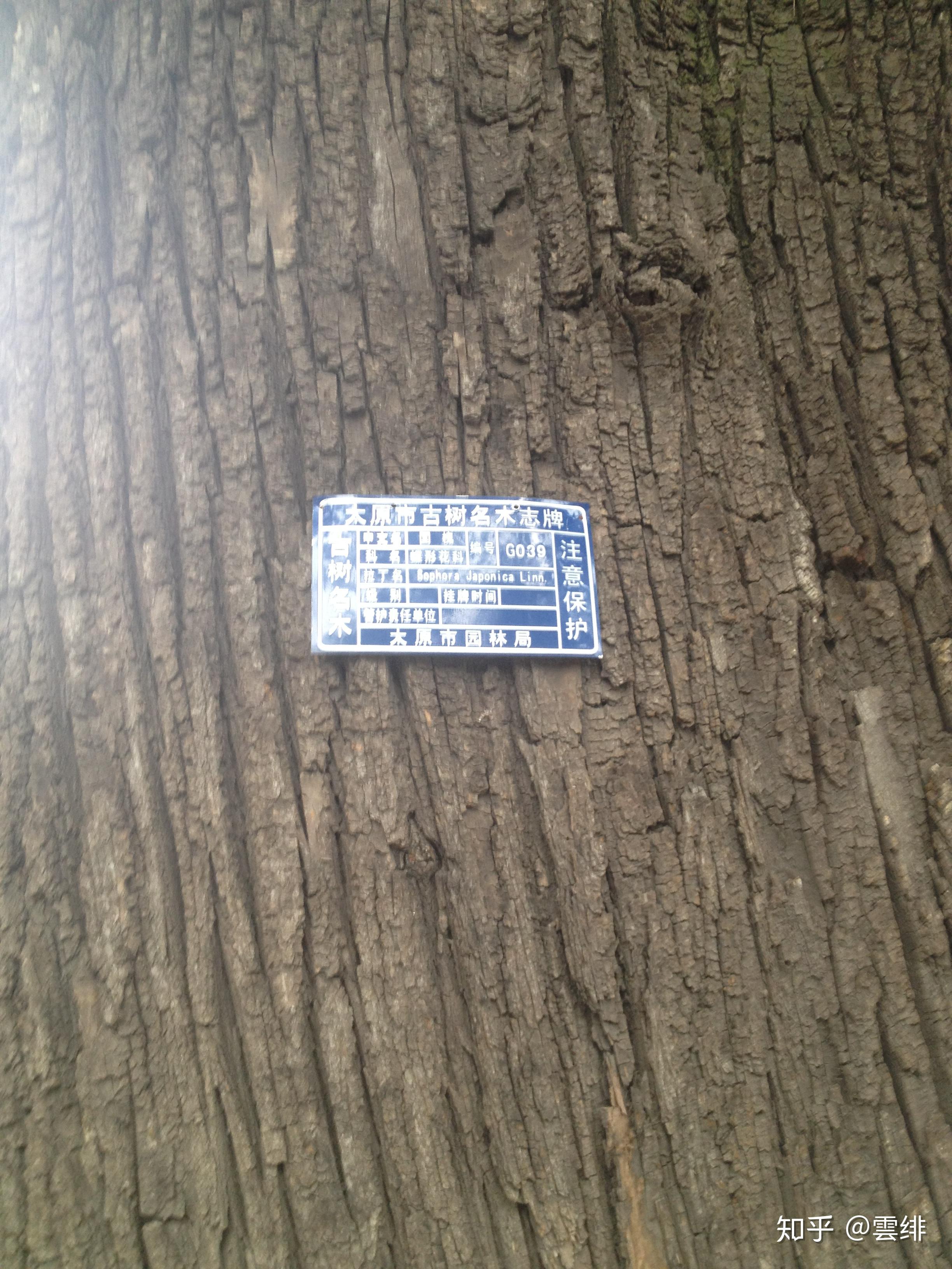 晋祠历史渊源_晋祠圣母殿邑姜_晋祠御笔匾额